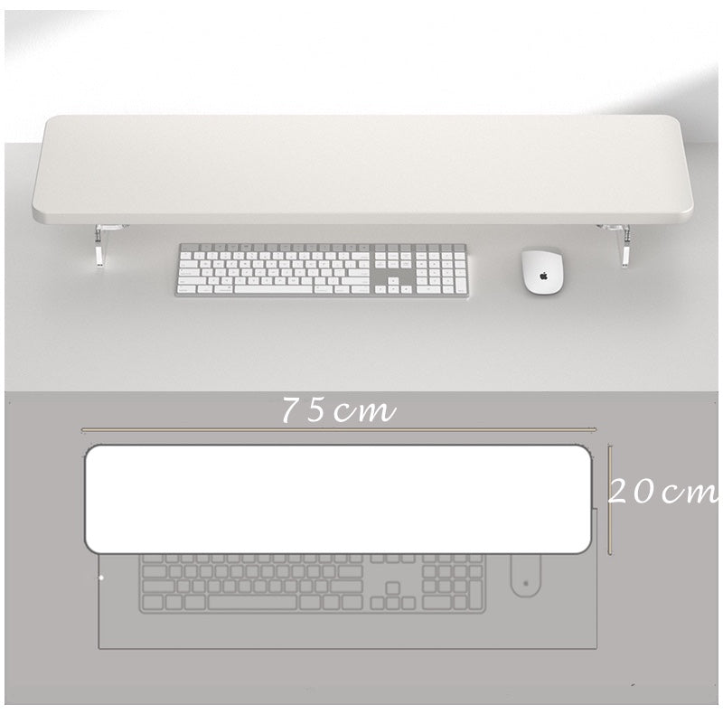 White Floating PC Monitor Stand Desktop Computer Laptop Screen Riser –  EasyChic Home